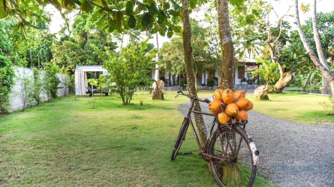 Antique Ceylon Villa Ahangama Buitenkant foto